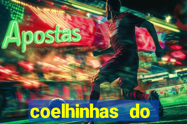 coelhinhas do brasil site